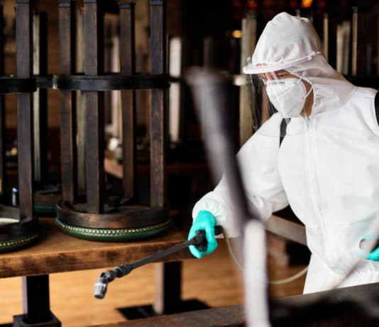 Les secrets pour éradiquer les cafards : trucs et astuces de professionnels