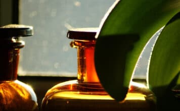 Pourquoi le rhum agricole séduit les amateurs de spiritueux