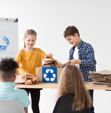 Mobilier durable : réduire l’empreinte carbone dès la salle de classe