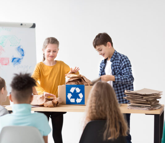 Mobilier durable : réduire l’empreinte carbone dès la salle de classe