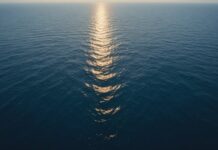 Canicules marines 2026 : pourquoi 82 % des océans ont viré au rouge cet été Vue aérienne d'une vaste étendue océanique sous une chaleur intense