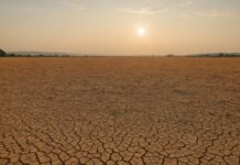 Cette vague de chaleur vient de dépasser en durée la canicule de 2003 Paysage français sous une chaleur intense, illustrant la canicule de l'été 2026