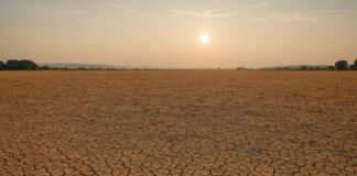 Cette vague de chaleur vient de dépasser en durée la canicule de 2003 Paysage français sous une chaleur intense, illustrant la canicule de l'été 2026