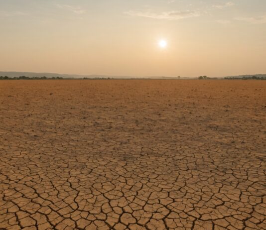 Cette vague de chaleur vient de dépasser en durée la canicule de 2003 Paysage français sous une chaleur intense, illustrant la canicule de l'été 2026