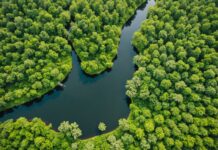 Sommet de l’ONU sur la biodiversité à Erevan : ce qui va s’y décider Vue aérienne d'un paysage naturel diversifié illustrant la biodiversité mondiale discutée à la COP17 d'Erevan