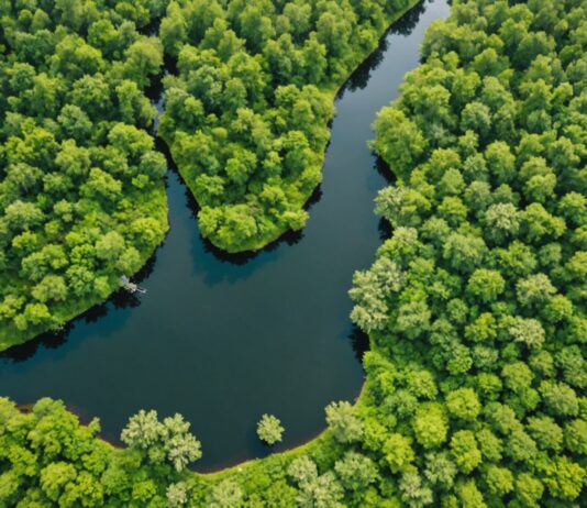 Sommet de l’ONU sur la biodiversité à Erevan : ce qui va s’y décider Vue aérienne d'un paysage naturel diversifié illustrant la biodiversité mondiale discutée à la COP17 d'Erevan