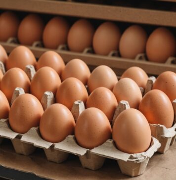 Prix des œufs : pourquoi cet aliment bon marché coûte de plus en plus cher Boîte d'œufs frais sur une étagère de supermarché français